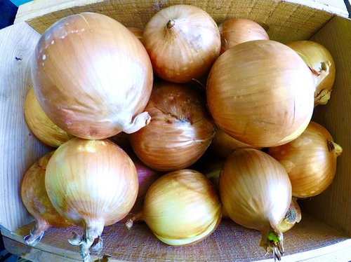 Box of onions